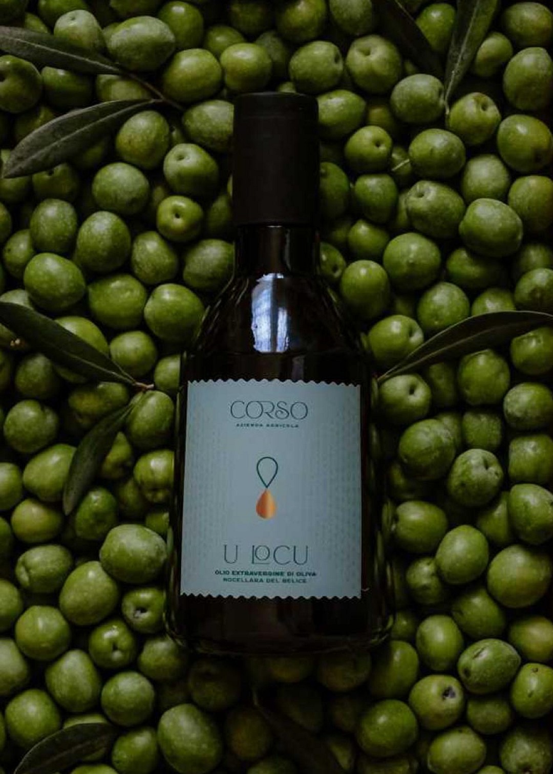 Nocellara del Belìce